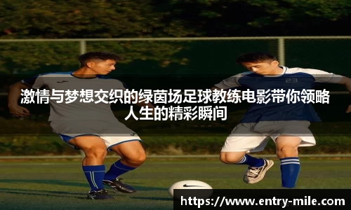 米乐m6